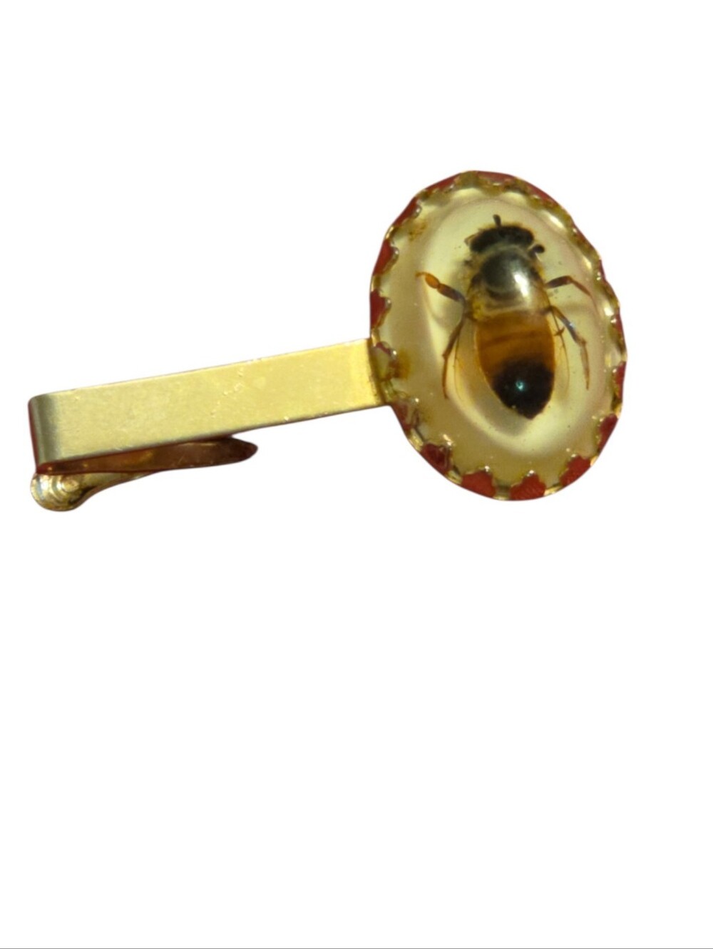 Vintage Encased Bee Tie Clip Gold Tone Insect Tie Bar